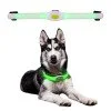 Кучешки нашийник LED Light Petsaber Maxi
