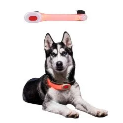 Кучешки нашийник LED Light Petsaber Mini
