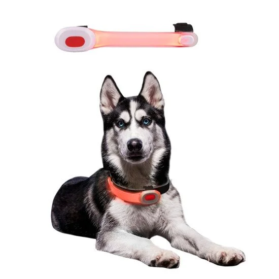 Кучешки нашийник LED Light Petsaber Mini