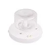 LED уред за лице inSPORTline Coladome 900