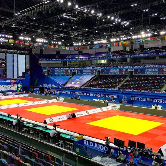Татами за джудо Taishan 200x100x5 см - Червен Татами за джудо Taishan 200x100x5 см - Червен
