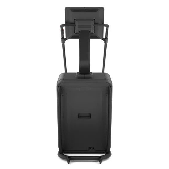 Фитнес стълбa inSPORTline Velocer STP