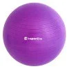 Топка за гимнастика inSPORTline Top ball 55 см Топка за гимнастика inSPORTline Top ball 55 см