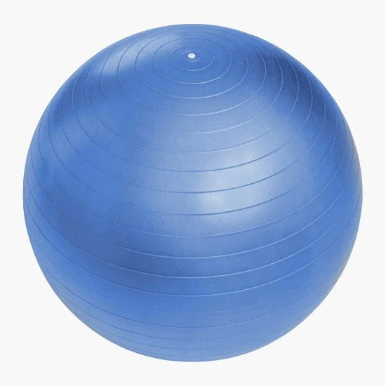 Гимнастическа топка SPARTAN 55 см Гимнастическа топка SPARTAN 55 см