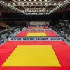 Татами за джудо Taishan 200x100x5 см - Жълт Татами за джудо Taishan 200x100x5 см - Жълт