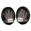 Лапи за бойни спортове EVERLAST