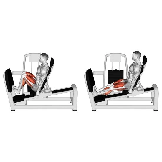 Лег преса/калф машина EVOLVE Leg/Calf EC-016 Лег преса/калф машина EVOLVE Leg/Calf EC-016