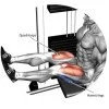 Лег преса/калф машина EVOLVE Leg/Calf EC-016 Лег преса/калф машина EVOLVE Leg/Calf EC-016