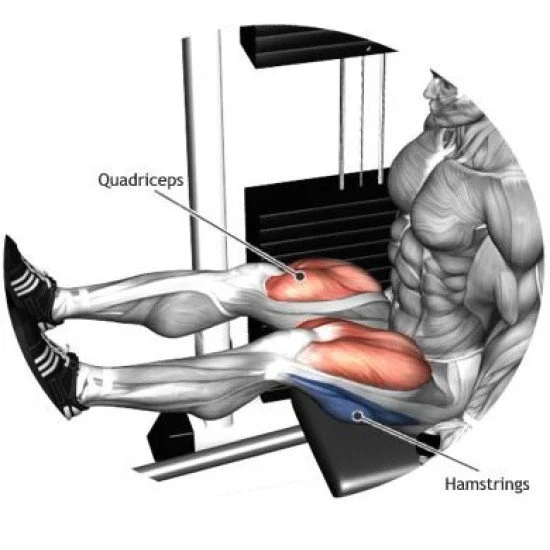 Лег преса/калф машина EVOLVE Leg/Calf EC-016 Лег преса/калф машина EVOLVE Leg/Calf EC-016