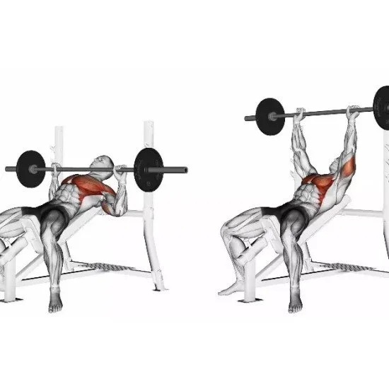 Регулируема лежанка EVOLVE Adjustable Bench EC 117