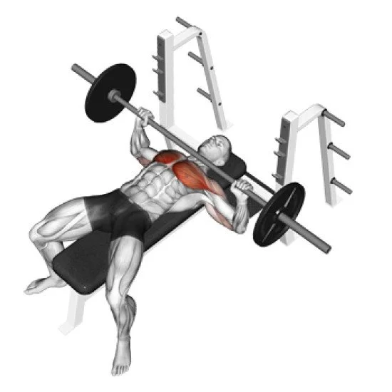 Регулируема лежанка EVOLVE Adjustable Bench EC 117