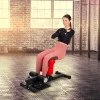Пейка за клекове Sissy inSPORTline Squo Пейка за клекове Sissy inSPORTline Squo