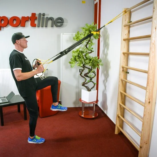 Шведска стена inSPORTline Steadyline 230x90 см