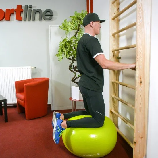 Шведска стена inSPORTline Steadyline 230x90 см