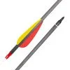 Стрели за лък inSPORTline Carbison 30" - 10 броя Стрели за лък inSPORTline Carbison 30" - 10 броя