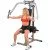 Пек Дек машина Body-Solid Pec Dec GPM65