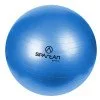 Гимнастическа топка SPARTAN 55 см Гимнастическа топка SPARTAN 55 см