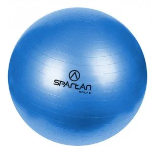 Гимнастическа топка SPARTAN 55 см Гимнастическа топка SPARTAN 55 см
