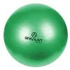 Гимнастическа топка SPARTAN 65 см Гимнастическа топка SPARTAN 65 см