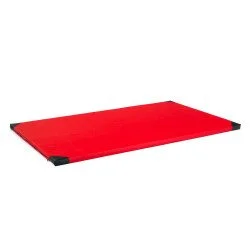  Гимнастически дюшек inSPORTline Roshar T90 200x120x5 см