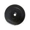 Комплект дискови тежести с цимент Set inSPORTline CEM 2x1.25-15 кг