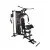 Гладиатор inSPORTline ProfiGym C100 Гладиатор inSPORTline ProfiGym C100
