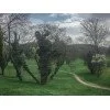 Екшън камера inSPORTline ActionCam III