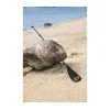 Гребло за SUP борд Bestway 217 Гребло за SUP борд Bestway 217