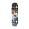 Скейтборд SPARTAN Circle Star 31 Скейтборд SPARTAN Circle Star 31