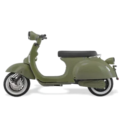 Електрически скутер MOTORETTA D1 PRO 4000 W - Зелен